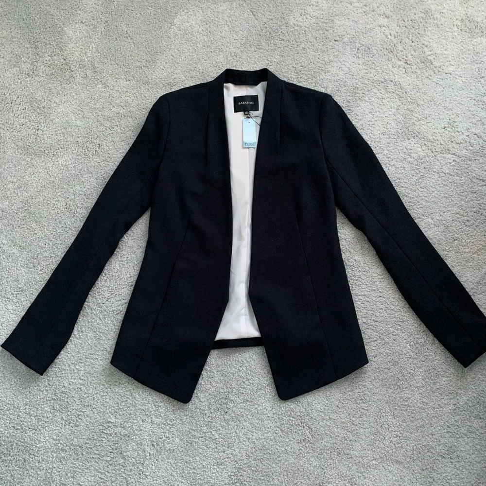 Babaton tailored jacket